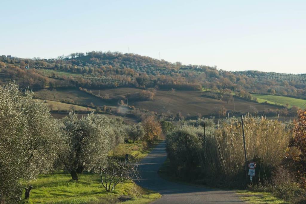 Le Casette Country House 2 Petricci Dış mekan fotoğraf